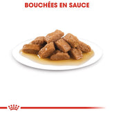 Royal Canin Aliment Humide Chien Medium Adult en sauce 140g